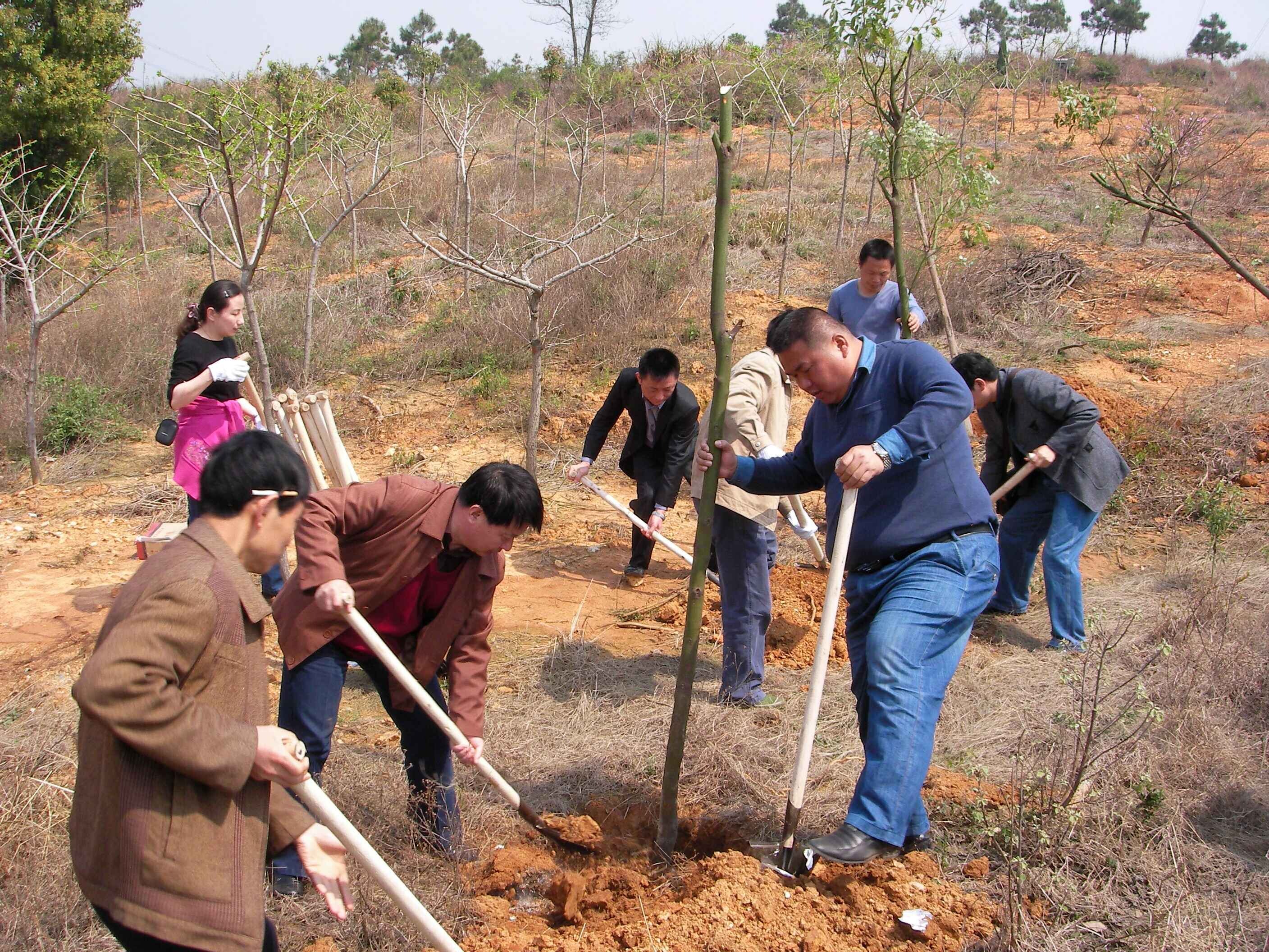 &#19975;&#35937;&#22478;&#23448;&#32593;&#28216;&#25103;&#20013;&#24515;&#65288;&#20013;&#22269;&#65289;&#23448;&#26041;&#32593;&#31449;